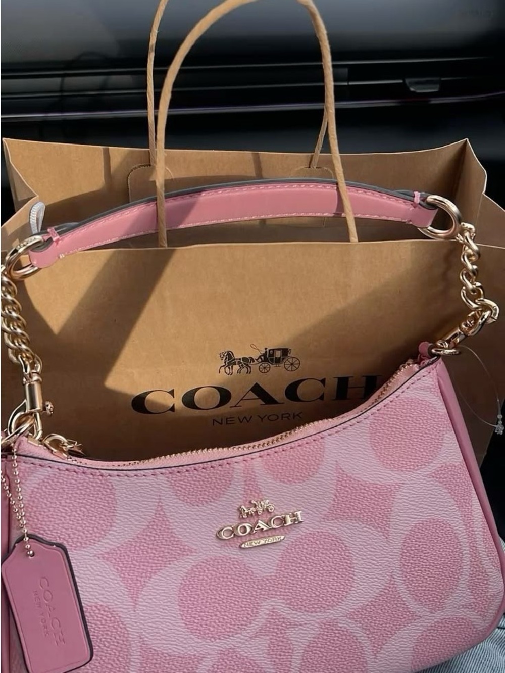 Coach Pink Signature Leather Shoulder Bag